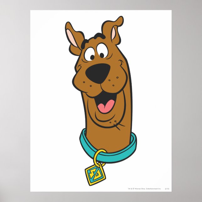 Póster Rosto Scooby-Doo Sorrindo (Frente)