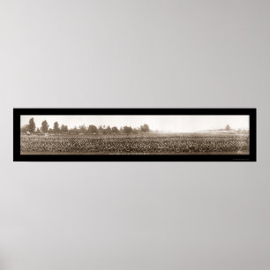 Póster ROTC Fort Myer WI Foto 1917