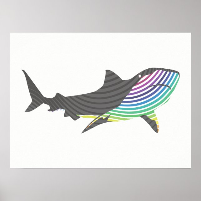 Póster Roteiro do Shark Colorido (Frente)