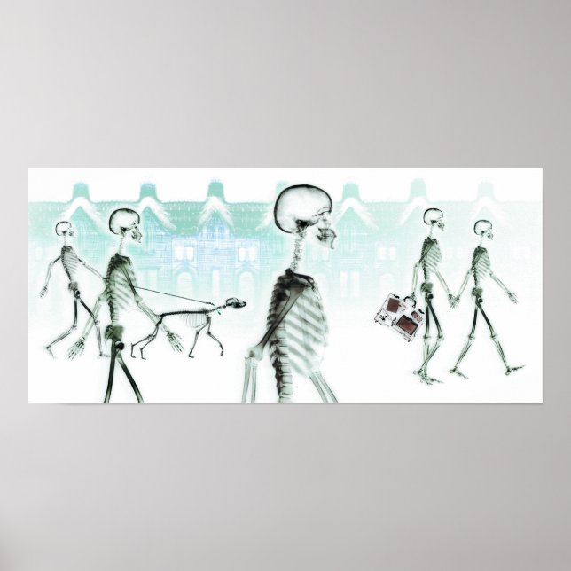 Póster Roteiro do X-Ray Skeletons durante a tarde (Frente)