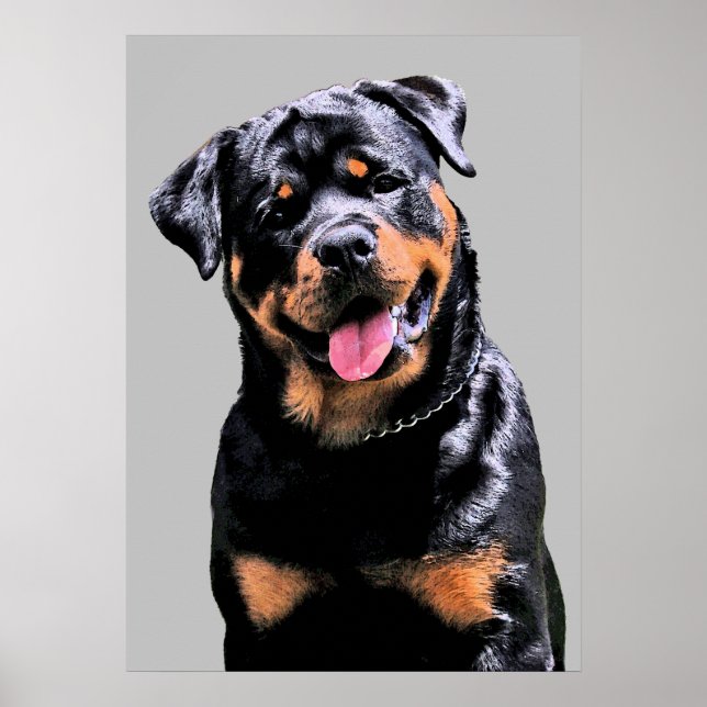 Poster Rottweiler (Frente)