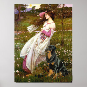 Póster Rottweiler (#5) - Windflowers