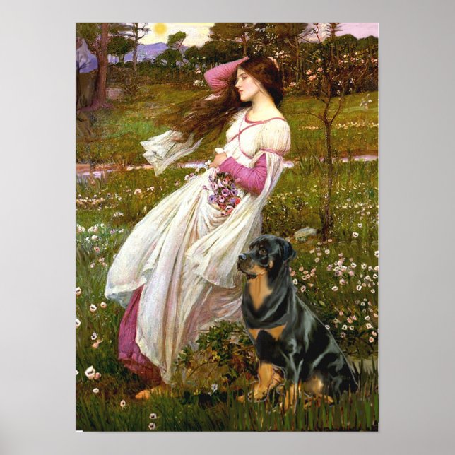 Póster Rottweiler (#5) - Windflowers (Frente)