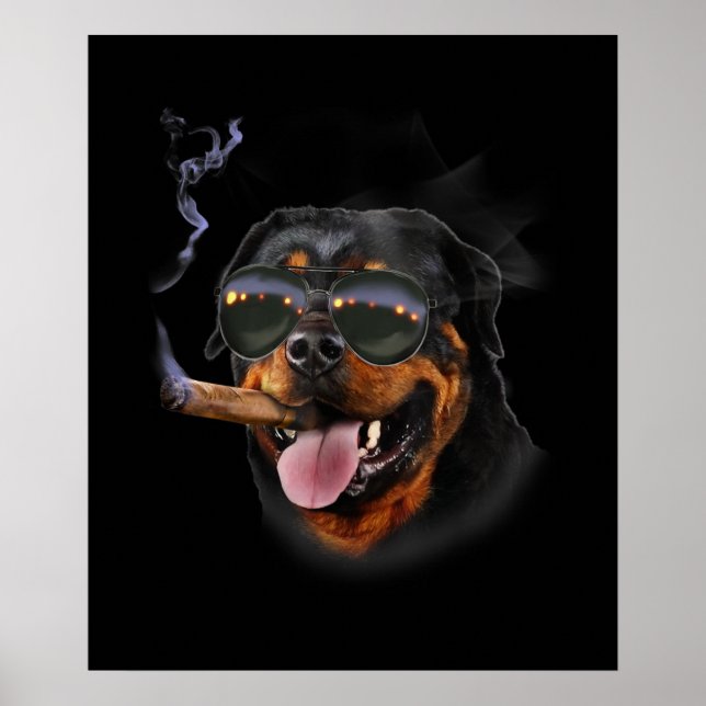 Poster Rottweiler Com Vidro Solar De Aviador De Veste De  (Frente)