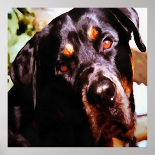Poster Rottweiler Portait Artístico Pet