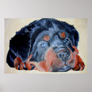 Poster Rottweiler Puppy Retrato Artístico Pet
