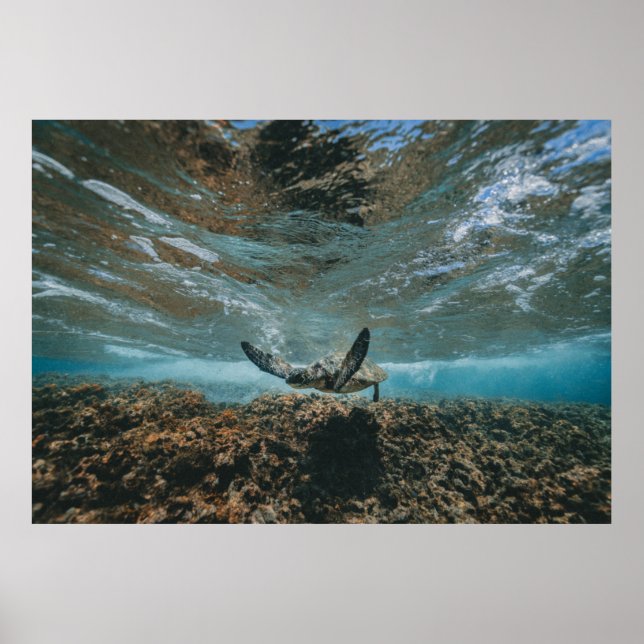 POSTER ROTULAGEM DE MOVIMENTO (Frente)