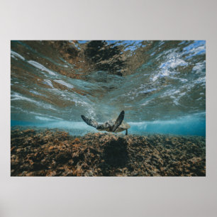 POSTER ROTULAGEM LIGADA AO MOVIMENTO
