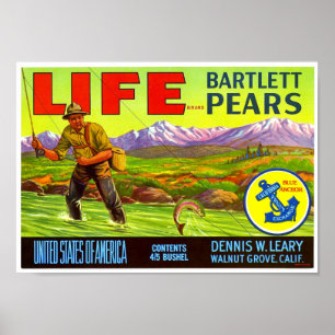 Poster Rótulo de Caixa de Peras Bartlett da Marca Life Sc