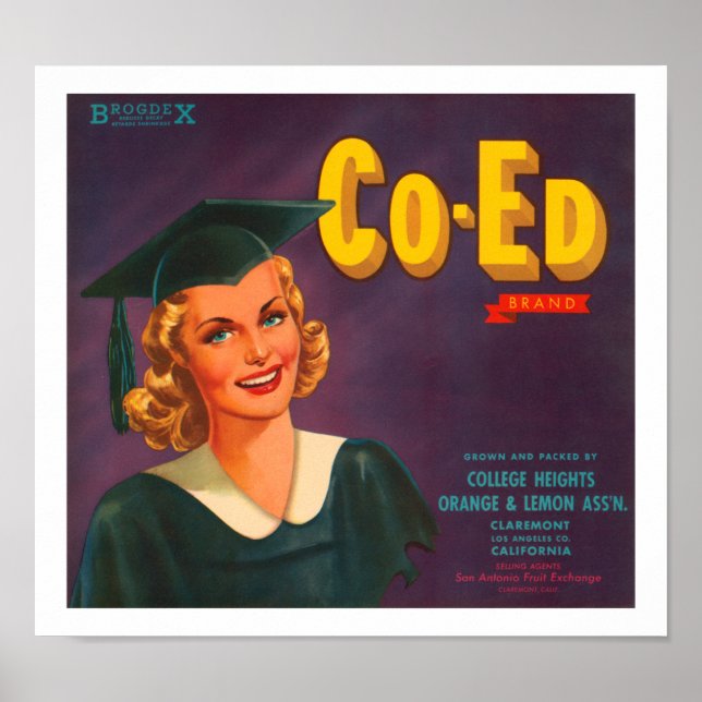 Poster Rótulo de Citros de Marca Co-Ed (Frente)