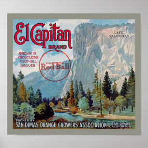 Poster Rótulo de Fruta Laranjas San Dimas Marca El Capita