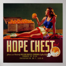 Rótulo de Frutas Laranjas Marca Vintage Hope Chest
