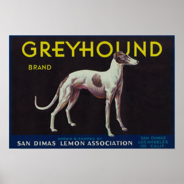Póster Rótulo de Limão de Greyhound San Dimas, CA (Frente)