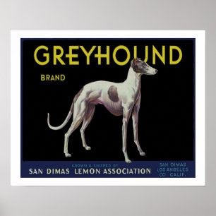 Poster Rótulo de limão Vintage Greyhound Circa 1920