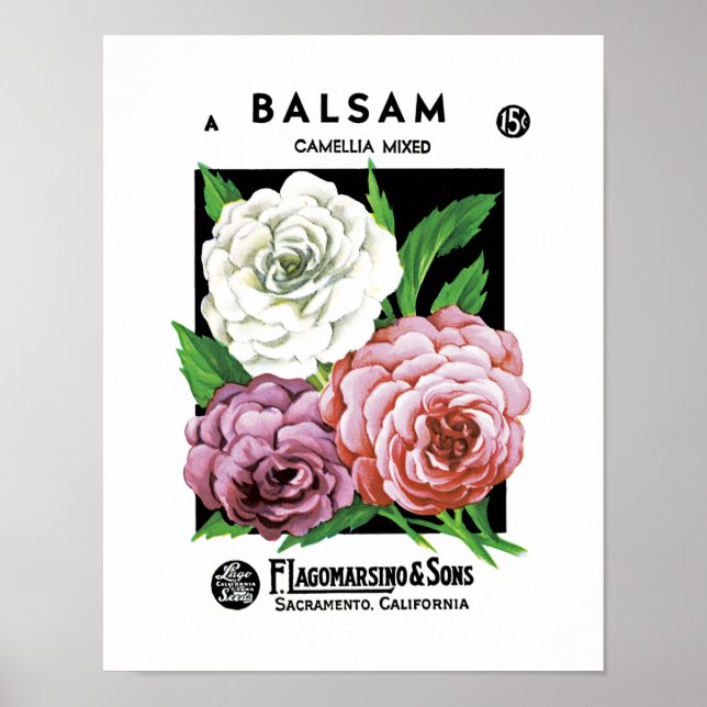 Póster Rótulo de Pacote de Semente Balsam (Frente)