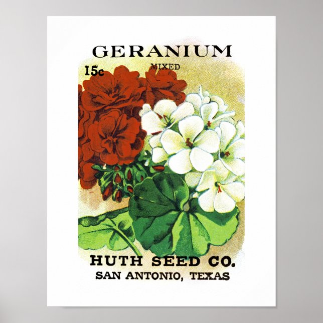 Póster Rótulo de Pacote de Semente Geranium (Frente)