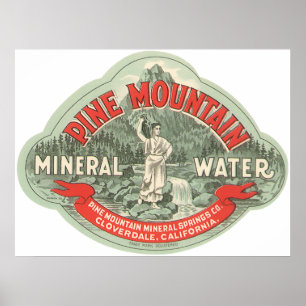 Póster Rótulo de Produto Antigo, Água Mineral Pine Mounta