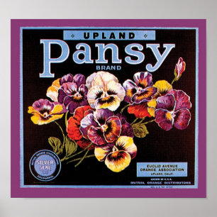 Poster Rótulo de Taxa de Armazenamento do Pansy