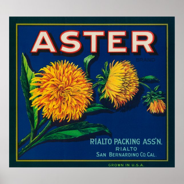 Póster Rótulo de Taxa de Citros de Marca Aster (Frente)