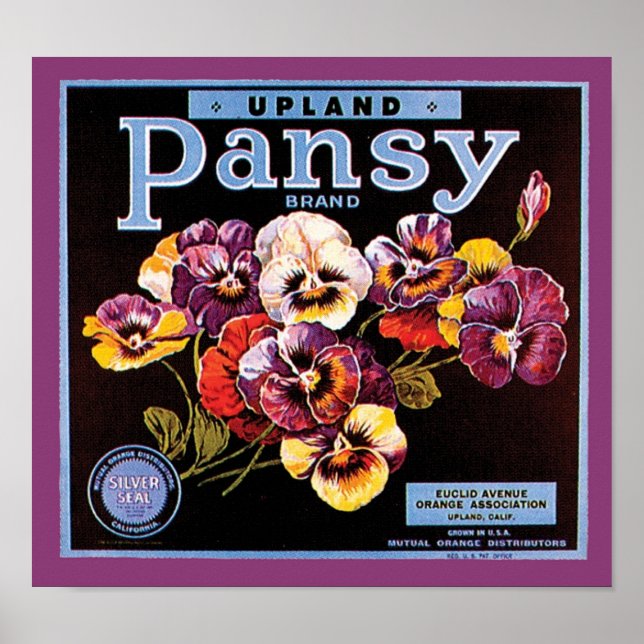 Poster Rótulo de Taxa de Transmissão do Pansy VIntage (Frente)