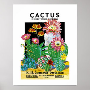 Póster Rótulo do Pacote de Semente Cactus