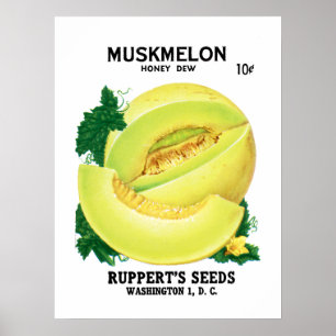 Poster Rótulo do Pacote de Semente Muskmelon