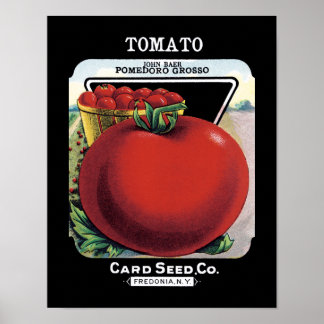 Poster Rótulo do Pacote de Sementes de Tomato