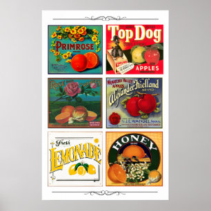 Poster Rótulos de anúncios de frutas vintage
