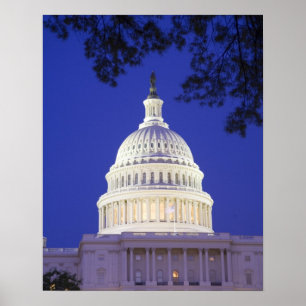 Poster Rotunda do Capitólio na noite, Washington dos E.U
