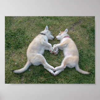 Póster rouco do coração