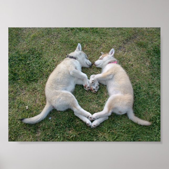 Póster rouco do coração (Frente)