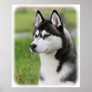 Poster Rouco Siberian 9Y570D-006