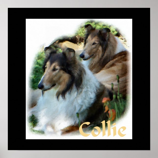Poster Rough Collie Art Gifts (Frente)