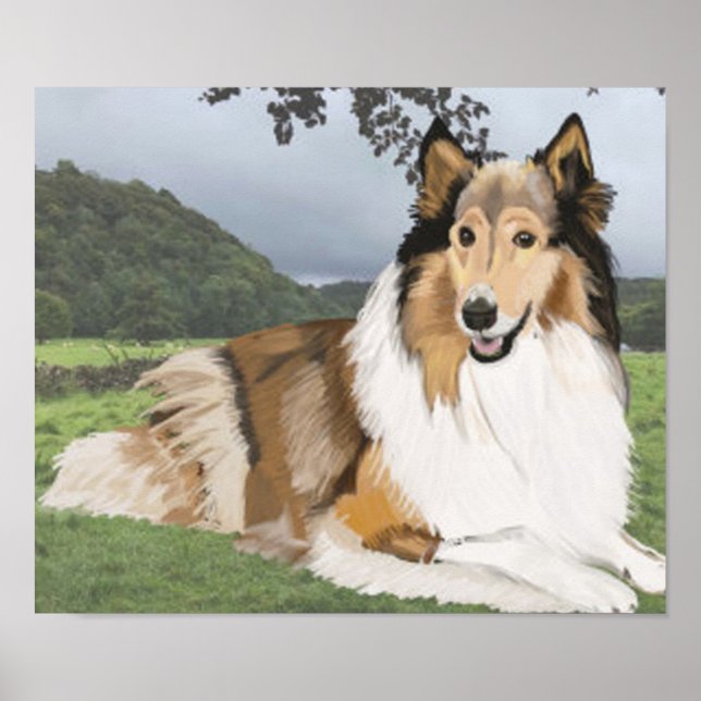 Póster Rough Collie contra o Yorkshire Dales (Frente)