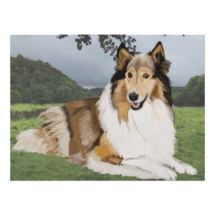 Póster Rough Collie contra os Yorkshire Dales