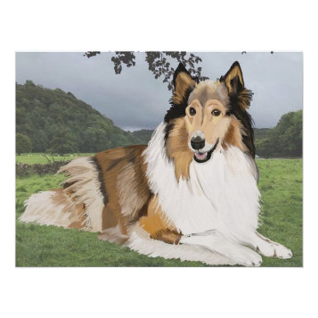 Póster Rough Collie contra os Yorkshire Dales (Frente)