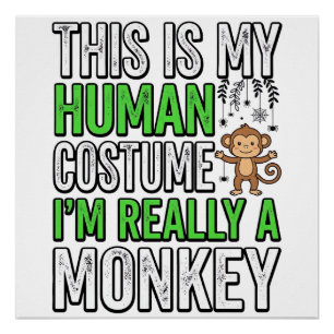 Póster Roupa de Humano de Macaco Engraçado Design de Cami