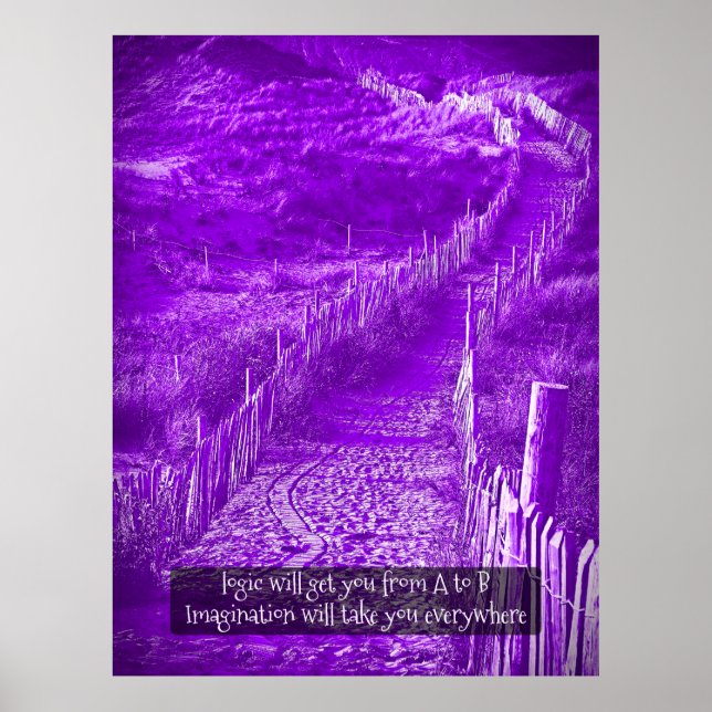 Poster Roxo - A imaginação vai levar-te a todo o lado (Frente)