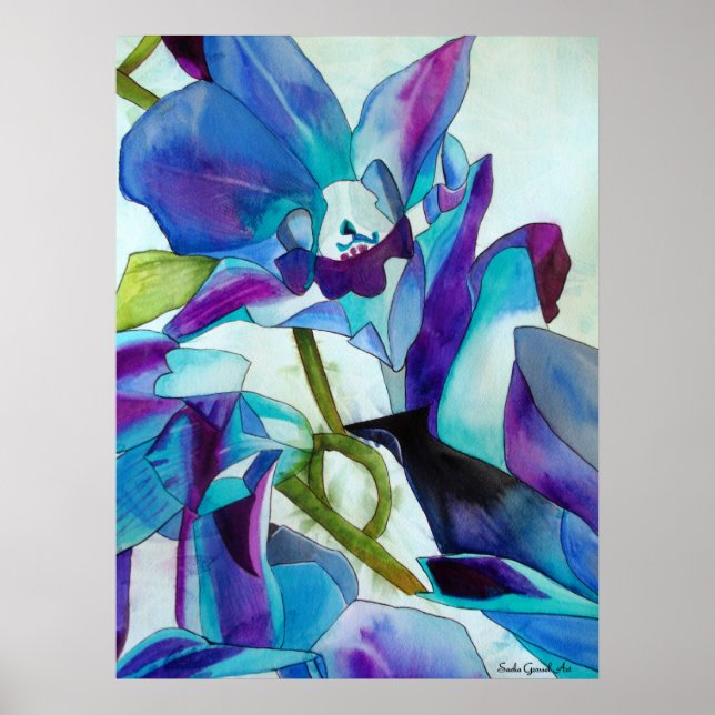 Póster Roxo Cingapura Orquídea, pintura aquosa (Frente)