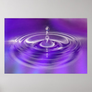 Poster roxo da gota da água