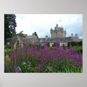 Poster Roxo da imagem