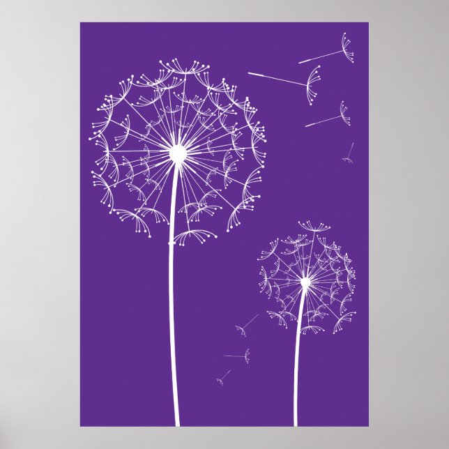 Poster roxo dandelion (Frente)