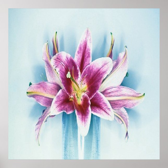 Poster Roxo Tiger Lilly (Frente)