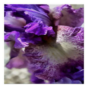 Póster Roxo, Violeta e Mauve Abstrato