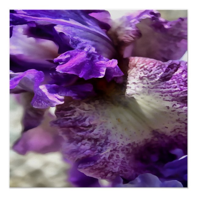 Póster Roxo, Violeta e Mauve Iris Abstrato (Frente)