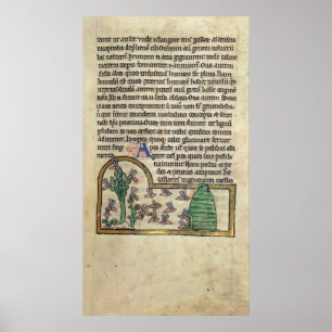 Póster Roy Page do texto com ilustração de