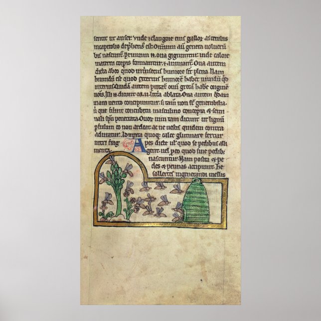 Póster Roy Page do texto com ilustração de (Frente)