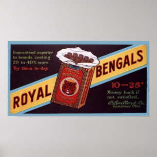 Poster Royal Bengals