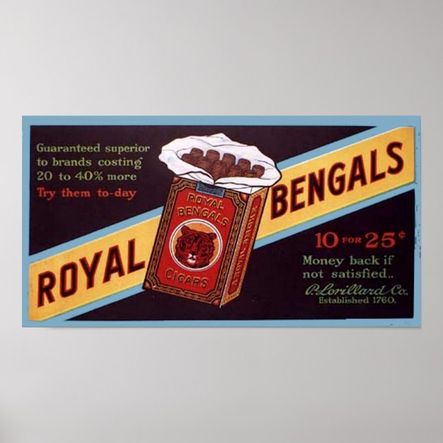 Poster Royal Bengals (Frente)
