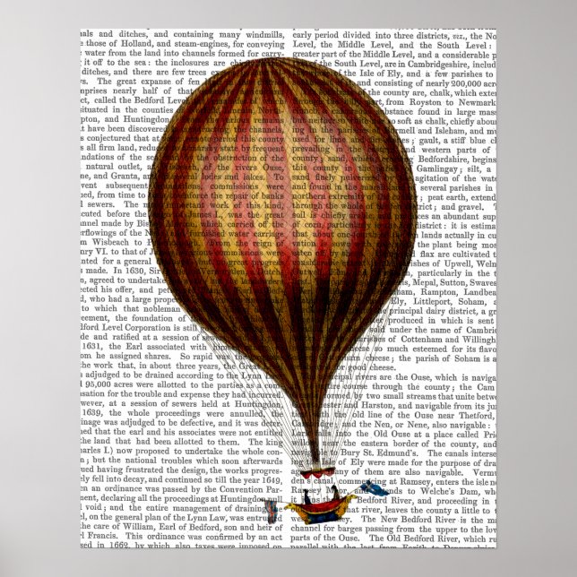 Poster Royal Nassau Balloon Hot Air Balloon (Frente)